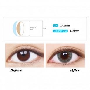 LENSME Megalook Fallin Gray(月拋)